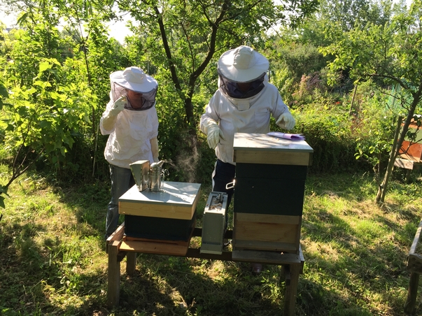 Методы пчеловодства